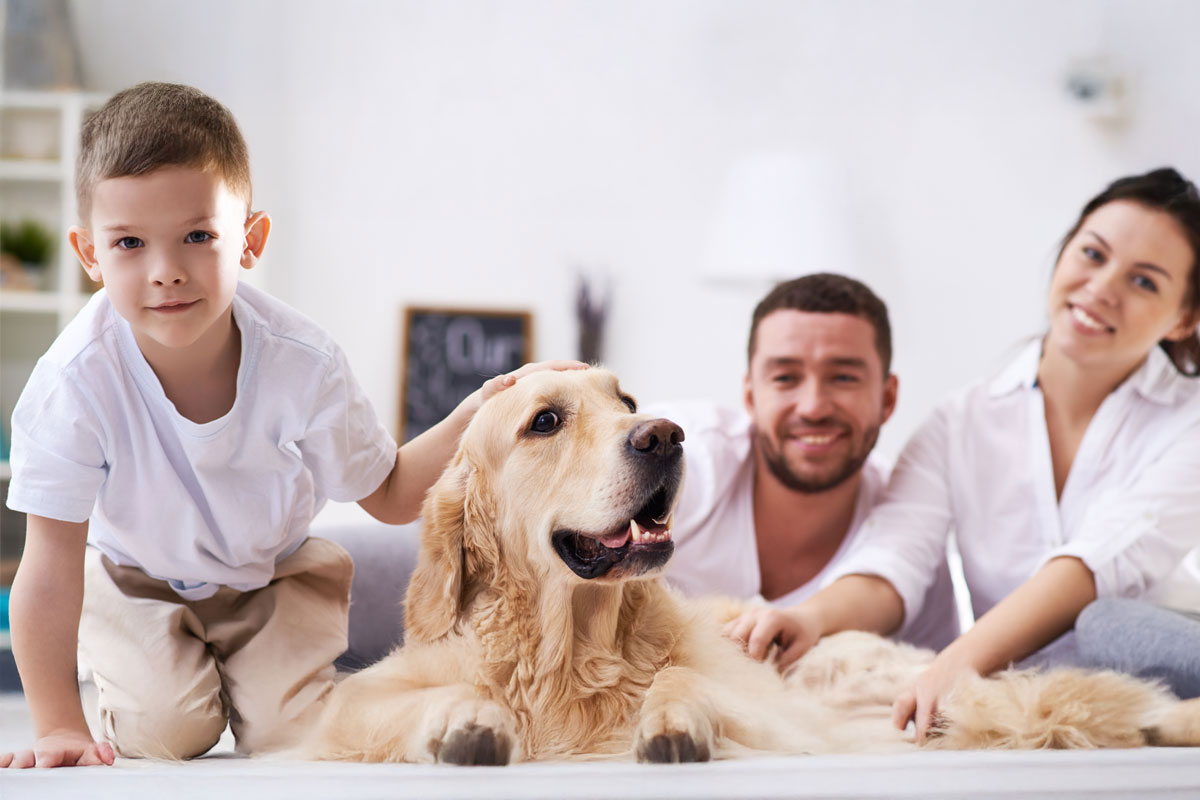 Community green space rendering